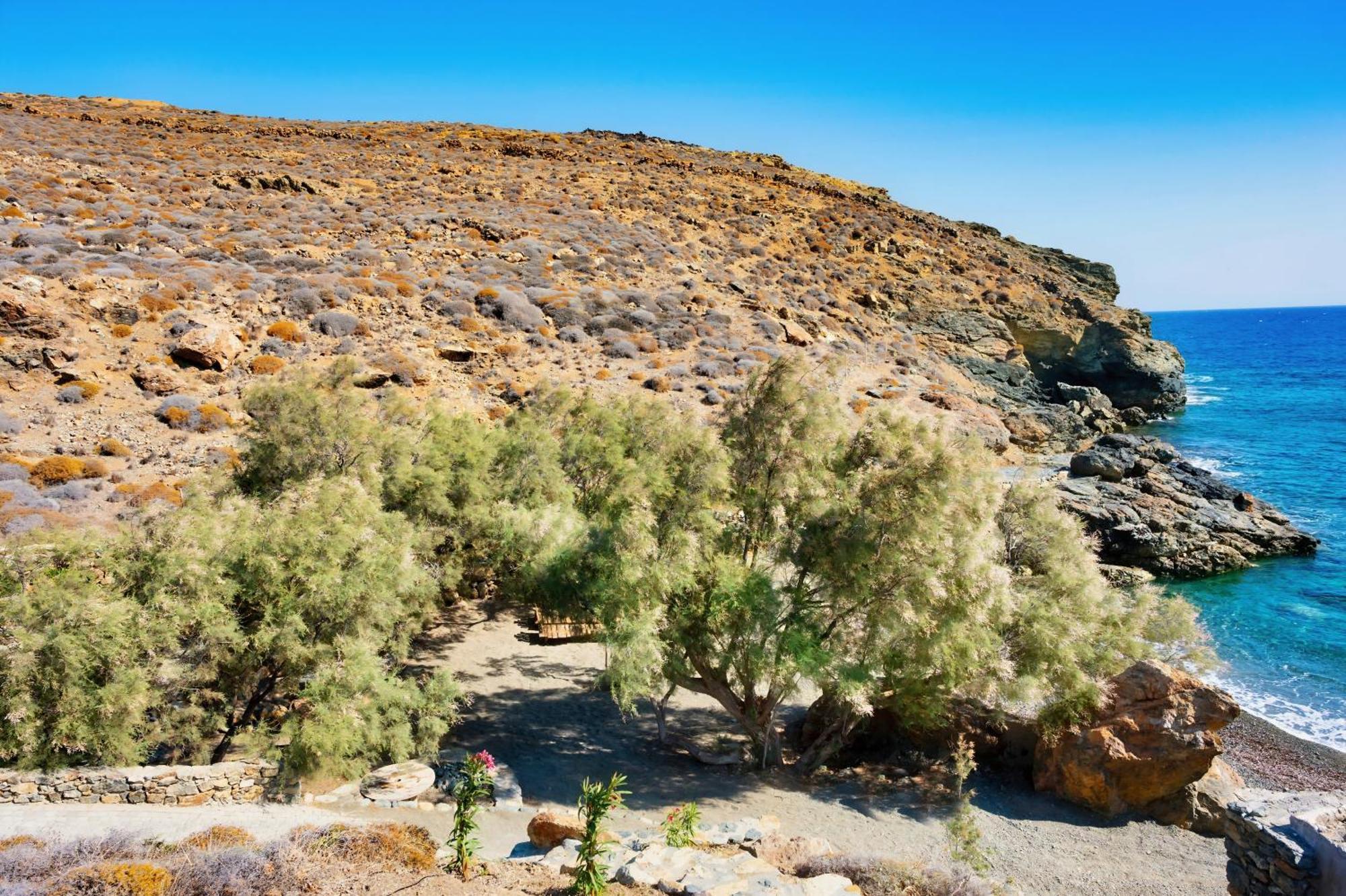 Semeli Coast Mykonos Curio Collection By Hilton Hotel Merchia Beach